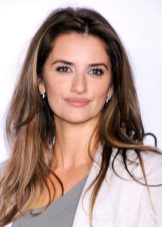 Beige and brown gamma for eyes under a gray dress