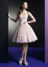 Lace lush dress to the knees