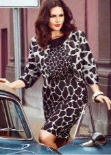 Winter dress for full with print