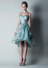 Elegant shoes to a short fluffy dress