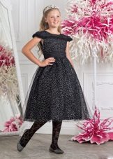 Elegant dress for the full girl magnificent