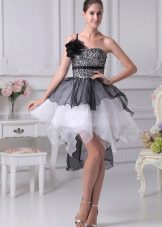 organza tutu dress
