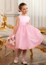 Graduation dress in kindergarten pink lush