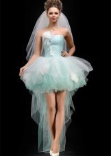 Skirt a pack of tulle with a train