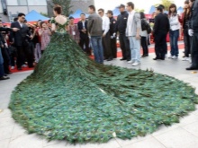 Peacock Feather Wedding Dress