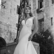 David Hasbani wedding dress with lace inserts
