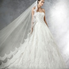 Wedding dress from Pronovias lace
