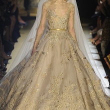 Wedding dress from Elie Saab lace