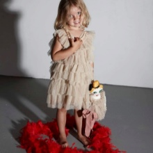 Elegant dress for girls 4-5 years with frills