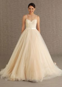 Ivory Cream Shade Wedding Dress