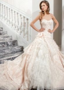 Magnificent dress with frill of chiffon