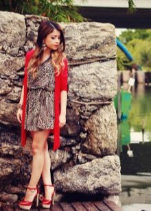 Brown leopard dress with red cardigan