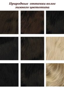 Shades of hair inherent in the color type Winter