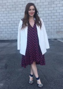 Dress bag with shoes on the strap with an open nose