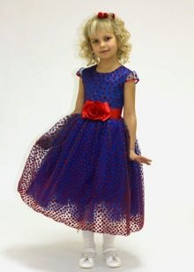 Graduation dress in kindergarten dark blue