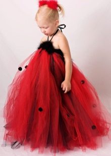 Decoration of the dress of tulle fur