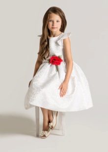 Elegant wedding fluffy dress short for a girl