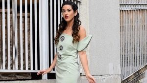 Dress straight silhouette - for fans of classic and minimalism