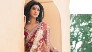 Sari - dress of Hindu goddesses and simple Indian women