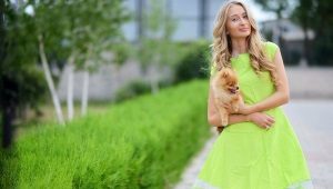 Salad dress - an image with notes of spring freshness