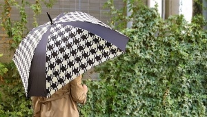 Square umbrella