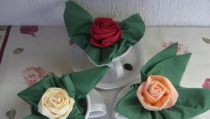 How beautifully folded paper napkins in a napkin holder?