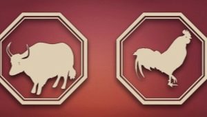 What you need to know about a man Aries, born in the year of the Rooster?