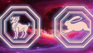 Characteristics men Rabbit-Aries