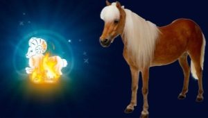 Characteristics of men Aries Horse