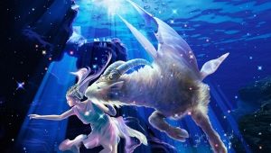 Aries and Capricorn: the union of earth and fire