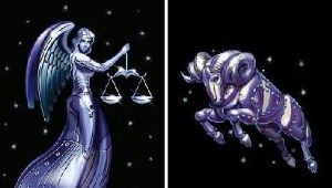 Aries and Libra: the subtleties of forming relationships