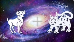 Aries-Tiger: Character Features and Compatibility in Love