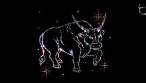 Union Taurus with Taurus: the secrets of harmonious relations