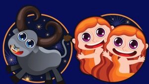 Taurus and Gemini: compatibility in love and business relationships