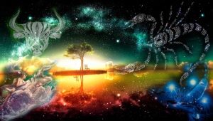 Taurus and Scorpio: compatibility in various areas of life