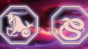  Characteristics of Capricorn Men, born in the year of the Snake