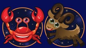 Compatibility of Cancer and Capricorn in love, friendship and work