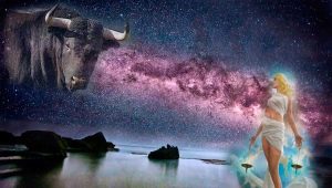 Taurus and Libra: compatibility in business and love relationships