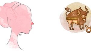 Taurus, born in the year of the Pig: characteristic