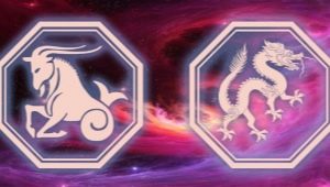 Woman Capricorn born in the year of the Dragon: characteristic and compatibility