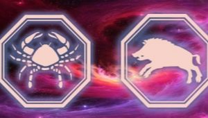 Characteristics and behavior of a male Cancer born in Pigs