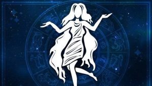 Characteristics of the man of Virgo, born in the year of the Monkey