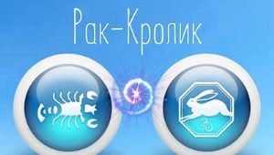 Characteristics of a Cancer Woman Born in the Year of the Rabbit