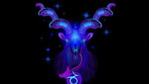 Capricorn: characteristic and horoscope, compatibility with other signs, interesting facts