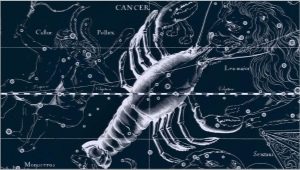 Male Cancer, born in the year of the Bull: characteristic and compatibility