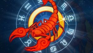 Male Scorpio, born in the Year of the Rooster: compatibility and characterization