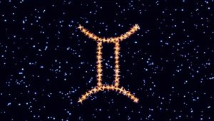 Male Twins born in the Year of the Snake: characterization and compatibility