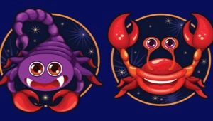 Scorpio and Cancer: a characteristic of the union of signs of Water and possible problems in relationships