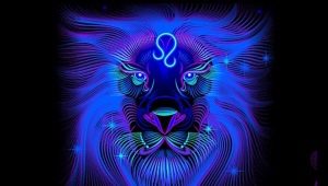 Choosing flowers for a woman Leo