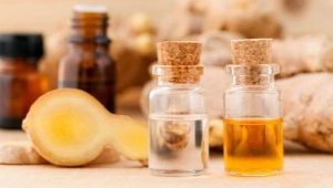 Ginger oil: the benefits and harm, applications